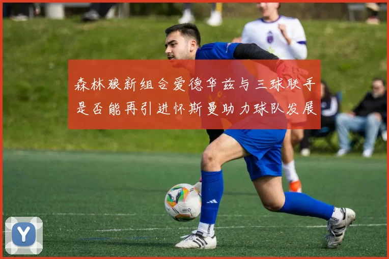 森林狼新组合爱德华兹与三球联手是否能再引进怀斯曼助力球队发展