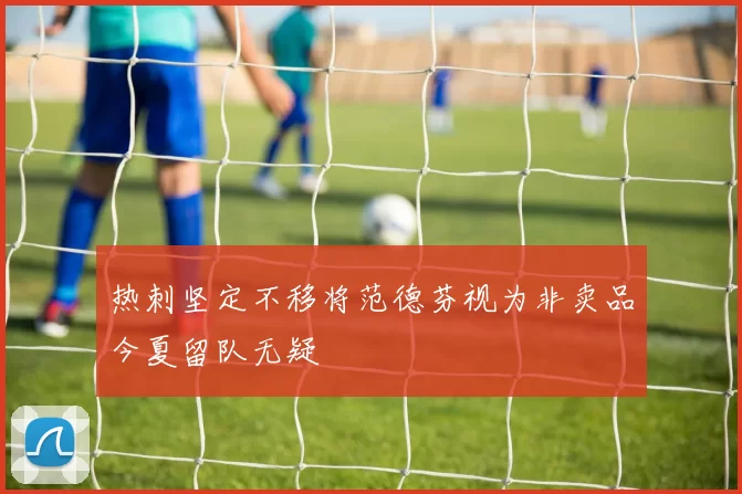 热刺坚定不移将范德芬视为非卖品今夏留队无疑